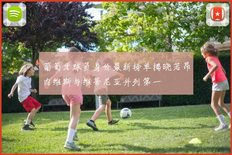 葡萄牙球员身价最新榜单揭晓若昂内维斯与维蒂尼亚并列第一